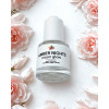 Amber Nights Fragrance Collection Amber Nights Fragrance Collection