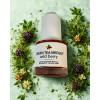 Green Tea Medley Fragrance Collection