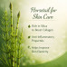 Firm Horsetail Face Butter